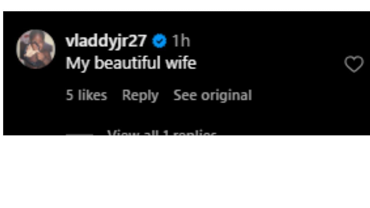 Vladimir Guerrero Jr.'s reaction